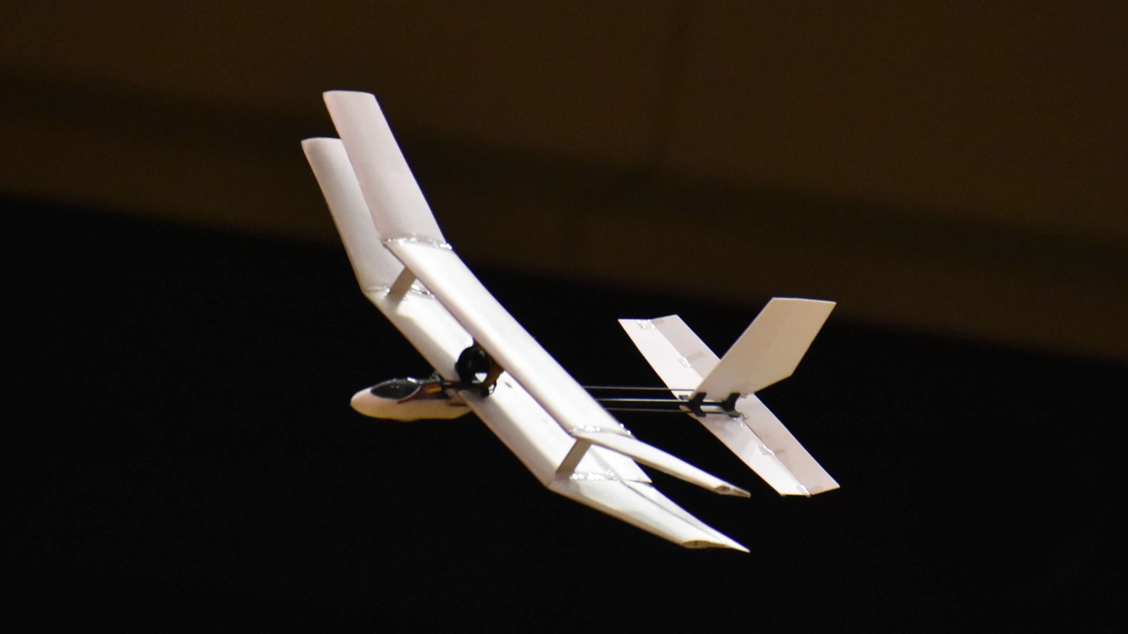 複葉EDFラジコン TOKAI2024